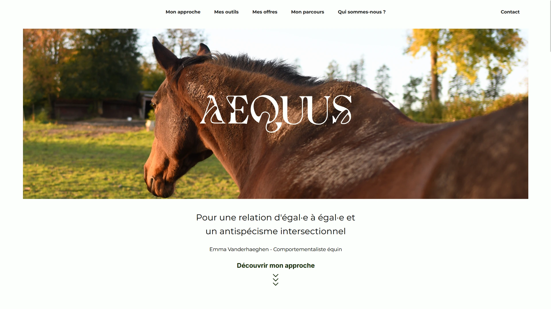 Aequus Logo